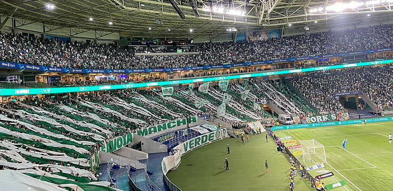 A história do Palmeiras um dos maiores campeões do futebol